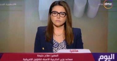 مساعد وزير الخارجية الأسبق: على الولايات المتحدة تقديم رؤية جديدة للعلاقات مع أفريقيا